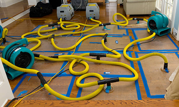 Professional Structural Drying And Dehumidification technician working in Moro, IL